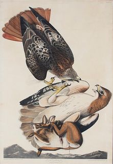 John James Audubon (1785-1851), 