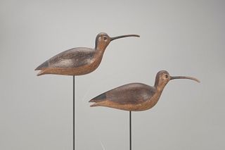 Two Curlew, Mark S. McNair (b. 1950)