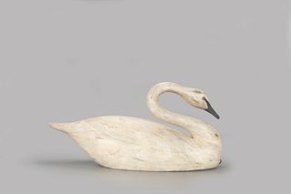 Swan, Reggie Birch (b. 1953)