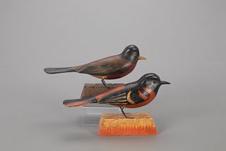 Baltimore Oriole and Robin, Frank S. Finney (b. 1947)