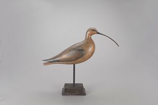 Long-Billed Curlew, David B. Ward (1947-2020)