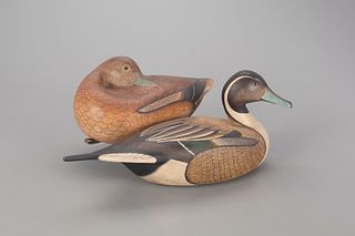 Pintail Pair, Anthony G. Murray (1941-2005)