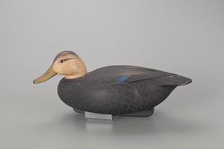 Black Duck Decoy, Donal C. O'Brien Jr. (1934-2013)