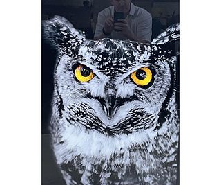 HOOT OWL TEMPERED GLASS HAND COLORED PHOTO