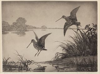 Aiden Lassell Ripley (1896-1969), Snipe at Dawn