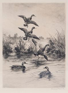 Roland H. Clark (1874-1957), Black Ducks [No.3]