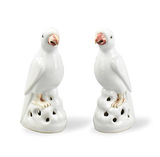 Pair of Chinese Blanc De Chine Parrots, 18th C.