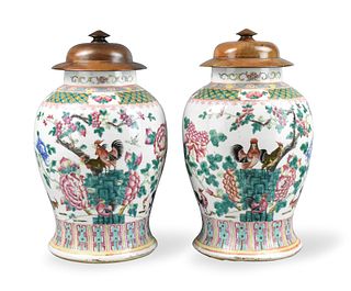Pair of Chinese Famille Rose Rooster Jars,19th C.