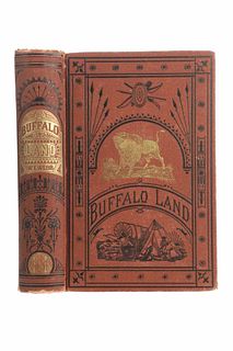 1873 Buffalo Land by William Edward Webb