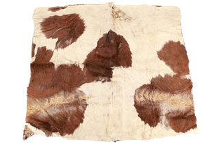 Trade Cloth Backed Cowhide Stage Coach Blanket