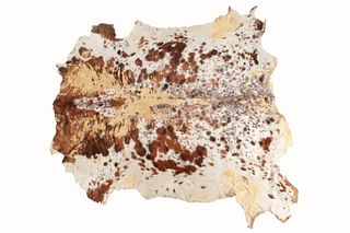 Exotic Tri-Colored Speckled Cowhide c. Mid 1900's