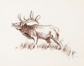 Bob Kuhn, Untitled (Elk Bugling)
