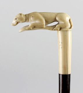 An early 19th century gentleman's walking cane, the ivory handle carved with a hound, 32.25” (82cm)