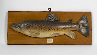 A composition model of a ‘taxidermy’ brown trout, with painted red spots and a fly in its mouth atta