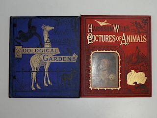Childrens colour printed: Aunt Louisa's Zoological Gardens, c.1890, with Kronheim illustrations; Har