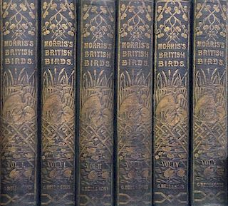 MORRIS (Rev. F. O.), A History of British Birds, second edition, 6 vols, 1870, numerous coloured pla