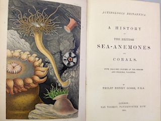 GOSSE (P H), A History of the British Sea-Anemones and Corals, 1860, 8vo, coloured plates, original