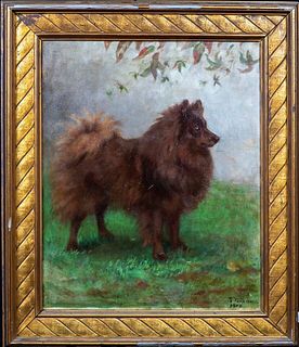 BROWN SPITZ DOG OIL PAINTING