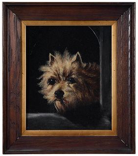 Portrait of a Terrier