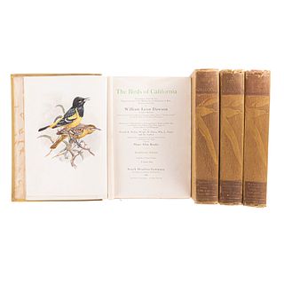Dawson, William Leon. The Birds of California. San Diego, Los Angeles, San Francisco: 1923. Ilustraciones en color y en negro. Piezas:4