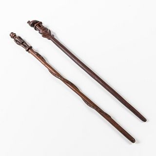 Two African Walking Sticks