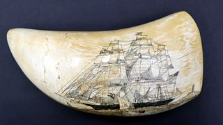 Antique Signed Sperm Whale Tooth Scrimshaw.