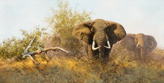 David Shepherd (1931–2017) — Elephants in the Bush (1981)