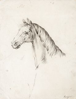 Carl Rungius (1869–1959) — Group of Eight Drawings