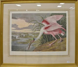After John James Audubon 
Roseate Spoonbill 
chromolithograph 
From the Amsterdam edition of "The Birds of America" 
1971-1973, plat...