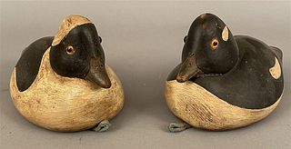 Pair of Bufflehead Duck Working Decoys