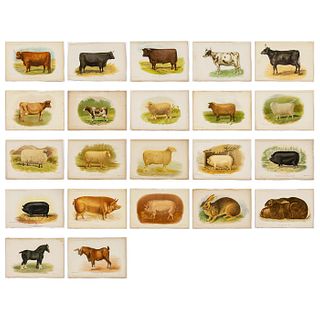 22pc Profitable Farm & Garden 1900 - 1902 Farm Animal Prints