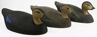 3 Ken Harris Woodville NY signed black duck decoys. One good, one broken bill, one chipped.