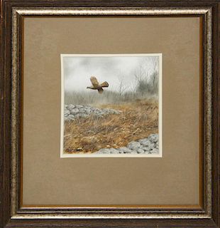 Watercolor of flying partridge titled "Over the Walls" ruffled grouse. Signed Peter Hanks '76. 7"x7"
