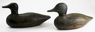 Pair Quebec primitive tack eye decoys with feather carving.
