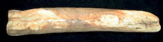 prehistoric Shishmaref, Alaska “Quinnyk” fossil walrus ivory pipe, length 7.5”