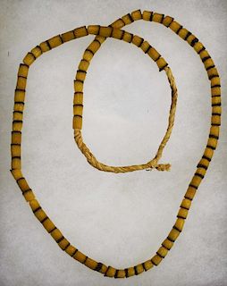 Crow necklace, vertebra bone & cordage, approx length 24”
