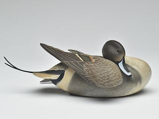Highly decorative pintail drake, Ward Brothers, Crisfield, Maryland.
