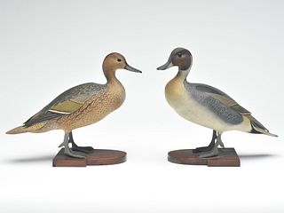 Pair of 3/4 size standing pintail, Ward Brothers, Crisfield, Maryland.