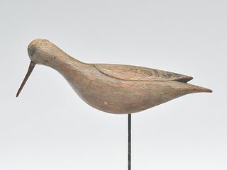 Rare sanderling from the eastern Shore of Virginia, last quarter 19th century.