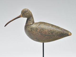 Rare curlew, Luther Lee Nottingham, Capeville, Virginia, circa 1900.