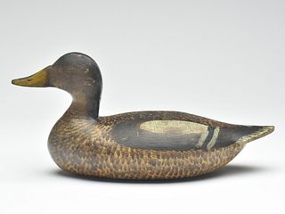 Gadwall, by an unknown Illinois maker, 1st quarter 20th century.
