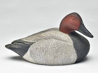 Canvasback drake, Mandt Homme, Stoughton, Wisconsin, 2nd quarter 20th century.