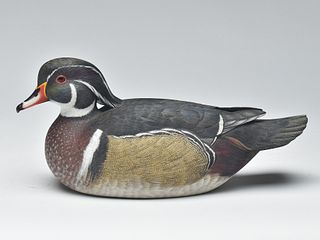 Rare and important wood duck drake, Larry Hayden, Detroit, Michigan.