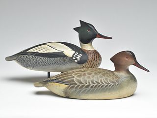 Pair of mergansers, Ward Brothers, Crisfield, Maryland.
