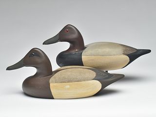 Very rare pair of canvasbacks, Roswell Bliss, Stratford, Connecticut.