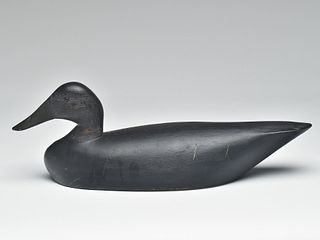 Long body black duck, Sam Denny, Clayton, New York.