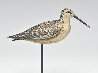 Dowitcher in content pose, William Bowman, Lawrence, Long Island, New York, last quarter 19th century.