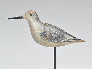 Dowitcher in fall plumage, John Dilley, Quogue, Long Island, New York, circa 1900.