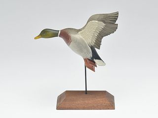 Miniature flying mallard, George Strunk, Glendora, New Jersey.