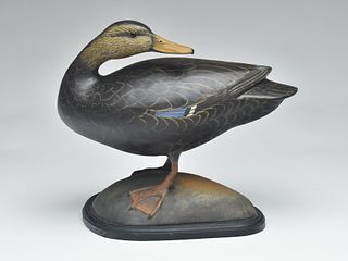 Full size standing black duck, Robert Moreland, Harrisonburg, Virginia.